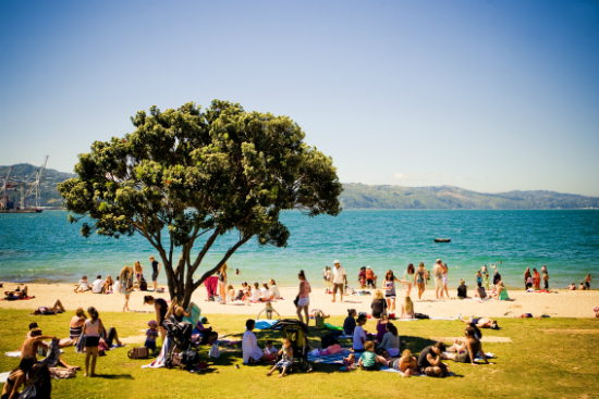 Oriental Bay Beach | Foto: Education New Zealand