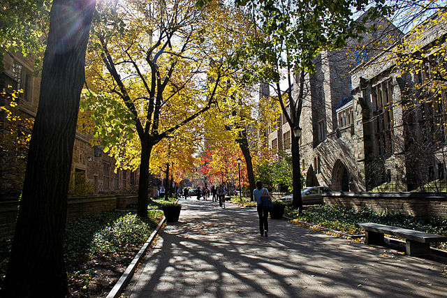 Campus da Universidade de Yale | Foto: Emilie Foyer, via Wikimedia Commons