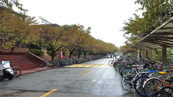 Estacionamento de bicicletas na KAIST | Foto: Romulo Siqueira