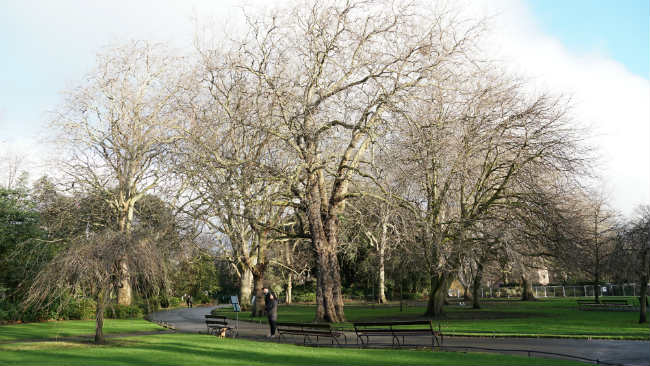 St. Stephen's Green Park, Dublin | Foto: Andrea Tissenbaum