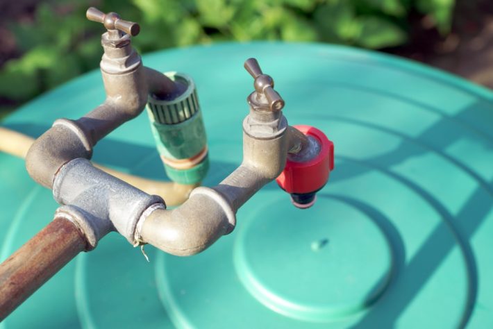 Cisterna guarda água da chuva para uso na irrigação da horta orgânica.