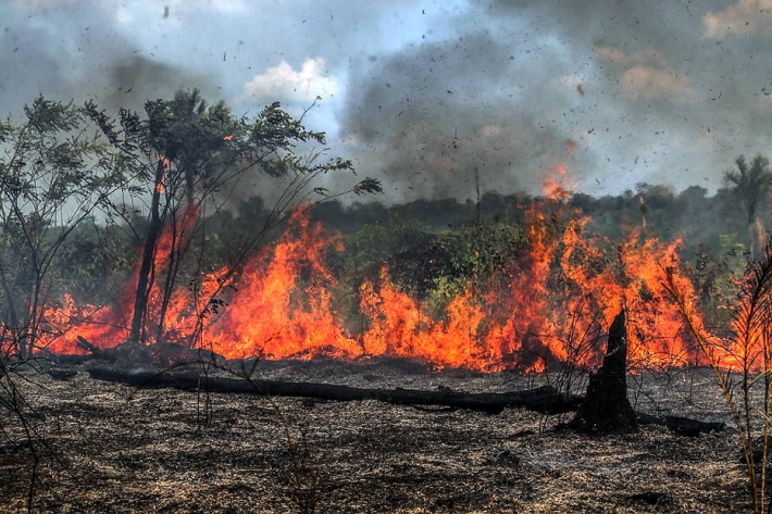 Crise das queimadas na Amazônia é assunto para Ciências da Natureza e  Humanas