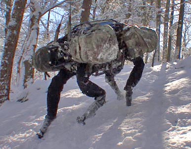 Big Dog, da Boston Dynamics